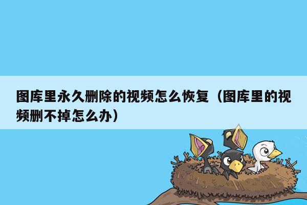 图库里永久删除的视频怎么恢复（图库里的视频删不掉怎么办）