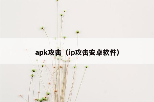 apk攻击（ip攻击安卓软件）