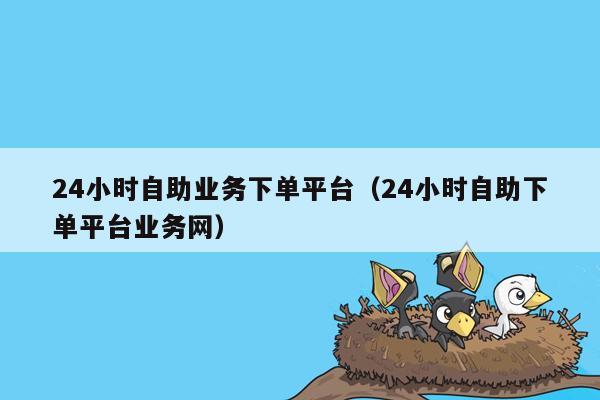 24小时自助业务下单平台（24小时自助下单平台业务网）