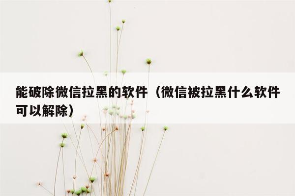 能破除微信拉黑的软件（微信被拉黑什么软件可以解除）