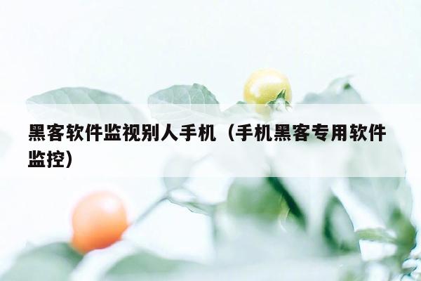 黑客软件监视别人手机（手机黑客专用软件 监控）