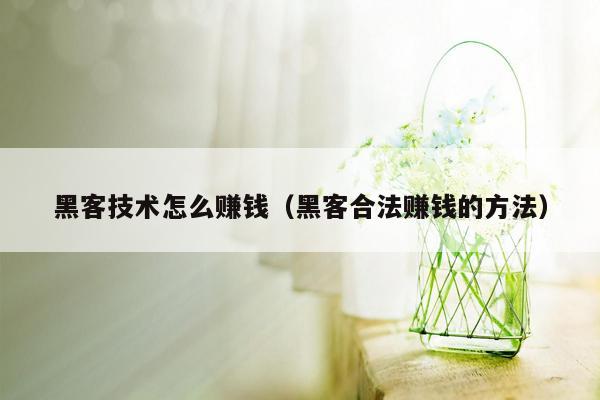 黑客技术怎么赚钱（黑客合法赚钱的方法）