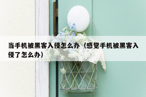 当手机被黑客入侵怎么办（感觉手机被黑客入侵了怎么办）