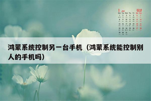 鸿蒙系统控制另一台手机（鸿蒙系统能控制别人的手机吗）