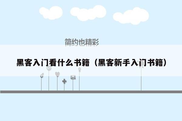 黑客入门看什么书籍（黑客新手入门书籍）