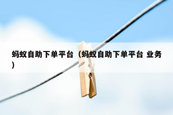 蚂蚁自助下单平台（蚂蚁自助下单平台 业务）