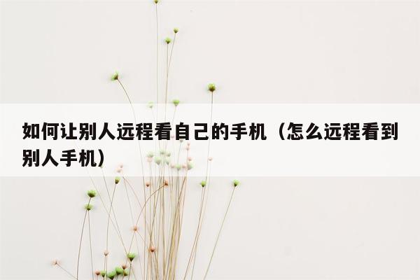 如何让别人远程看自己的手机（怎么远程看到别人手机）