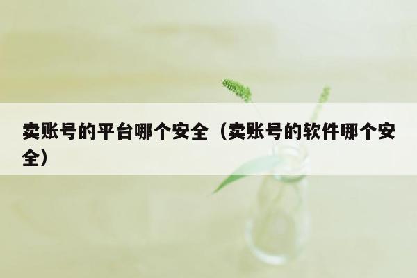 卖账号的平台哪个安全（卖账号的软件哪个安全）