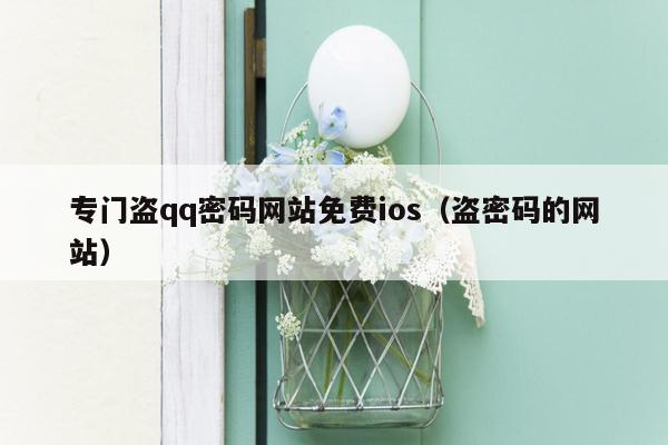 专门盗qq密码网站免费ios（盗密码的网站）