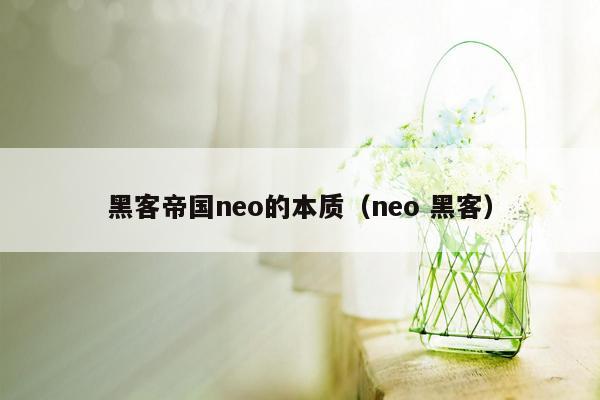 黑客帝国neo的本质（neo 黑客）