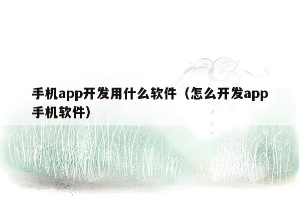 手机app开发用什么软件（怎么开发app手机软件）