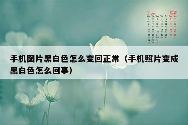 手机图片黑白色怎么变回正常（手机照片变成黑白色怎么回事）