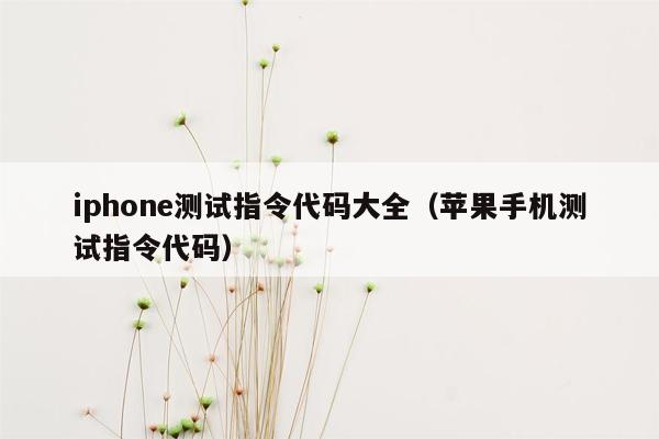 iphone测试指令代码大全（苹果手机测试指令代码）