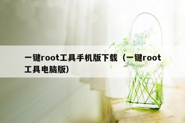 一键root工具手机版下载（一键root工具电脑版）