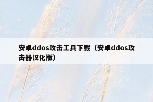 安卓ddos攻击工具下载（安卓ddos攻击器汉化版）