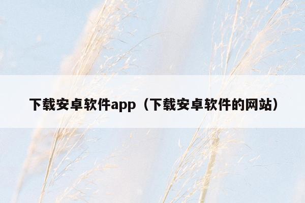 下载安卓软件app（下载安卓软件的网站）