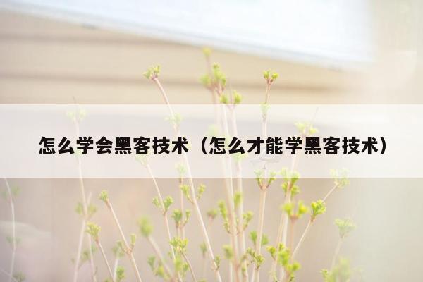 怎么学会黑客技术（怎么才能学黑客技术）