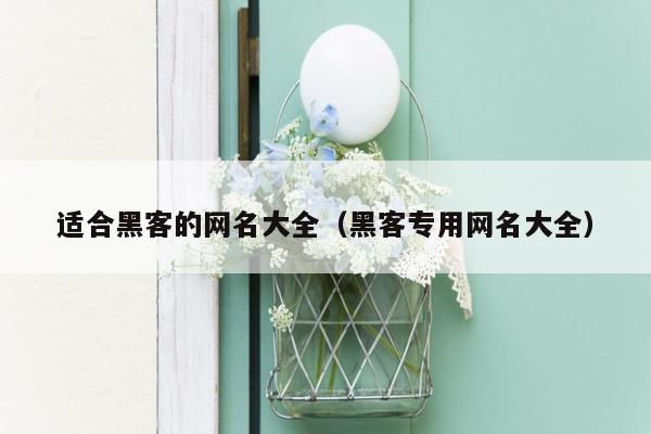 适合黑客的网名大全（黑客专用网名大全）