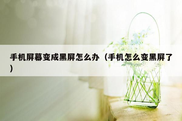 手机屏幕变成黑屏怎么办（手机怎么变黑屏了）