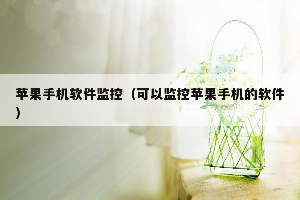 苹果手机软件监控（可以监控苹果手机的软件）