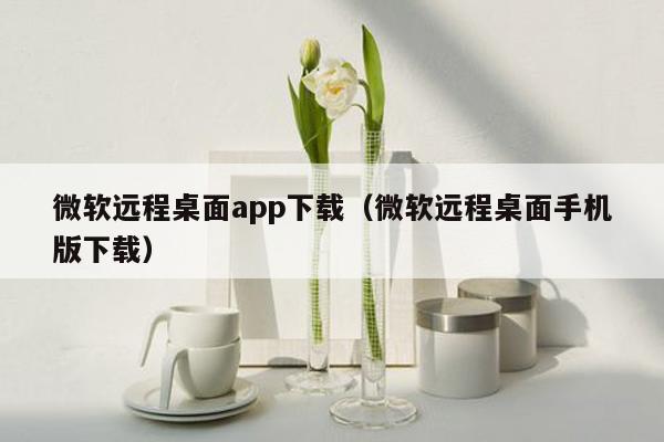 微软远程桌面app下载（微软远程桌面手机版下载）