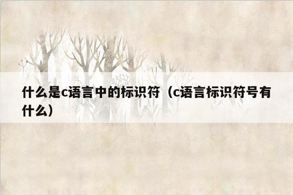 什么是c语言中的标识符（c语言标识符号有什么）