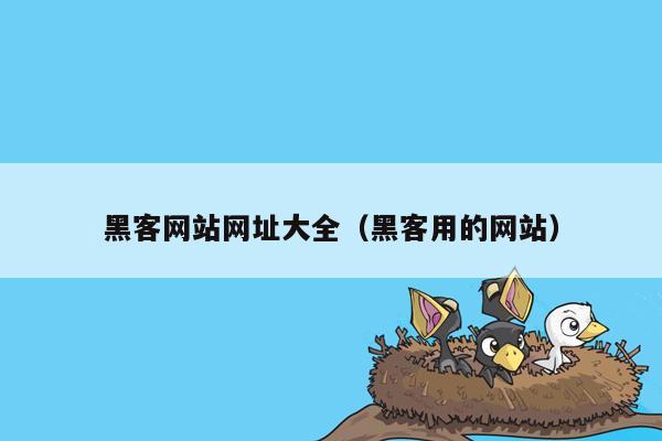 黑客网站网址大全（黑客用的网站）