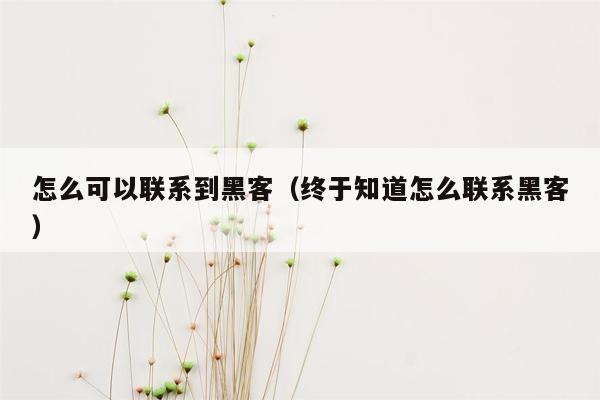 怎么可以联系到黑客（终于知道怎么联系黑客）