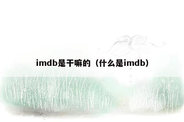 imdb是干嘛的（什么是imdb）