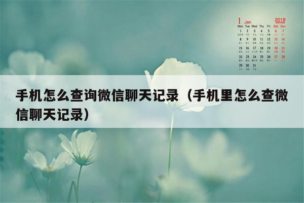 手机怎么查询微信聊天记录（手机里怎么查微信聊天记录）