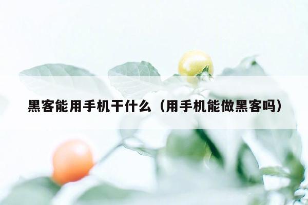 黑客能用手机干什么（用手机能做黑客吗）