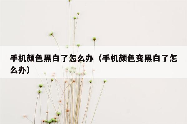 手机颜色黑白了怎么办（手机颜色变黑白了怎么办）