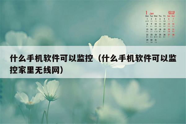 什么手机软件可以监控（什么手机软件可以监控家里无线网）