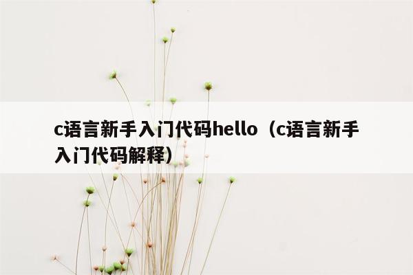 c语言新手入门代码hello（c语言新手入门代码解释）