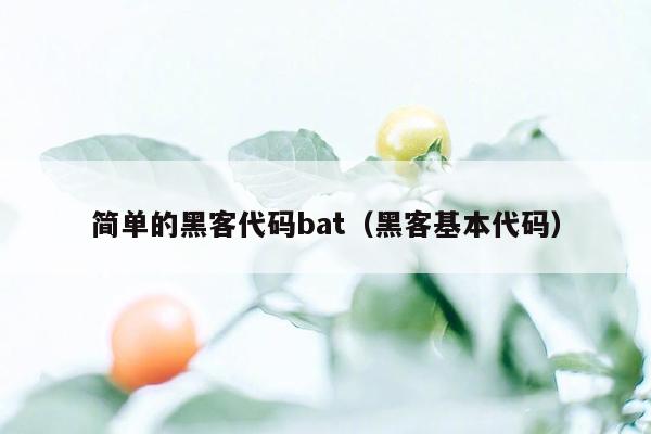 简单的黑客代码bat（黑客基本代码）