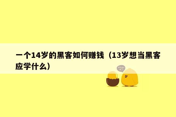 一个14岁的黑客如何赚钱（13岁想当黑客应学什么）