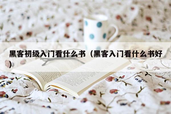 黑客初级入门看什么书（黑客入门看什么书好）