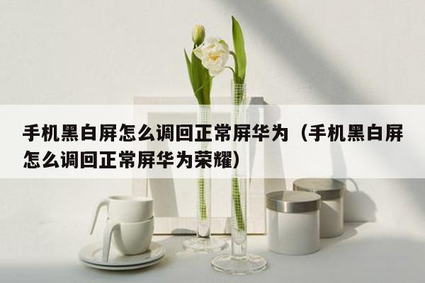 手机黑白屏怎么调回正常屏华为（手机黑白屏怎么调回正常屏华为荣耀）