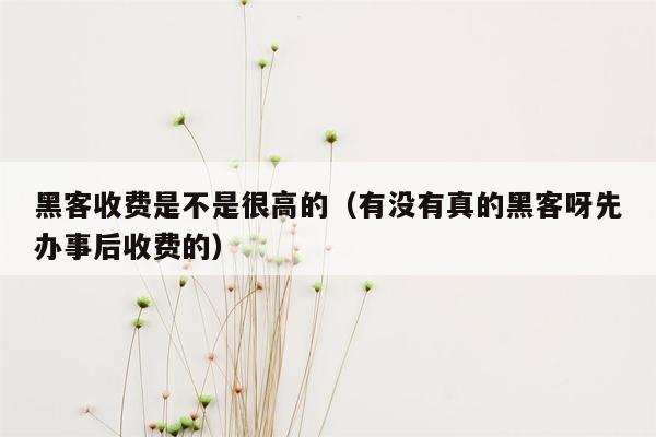 黑客收费是不是很高的（有没有真的黑客呀先办事后收费的）