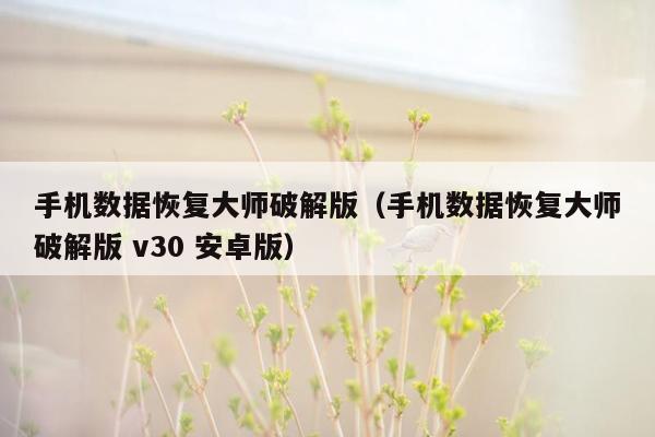 手机数据恢复大师破解版（手机数据恢复大师破解版 v30 安卓版）