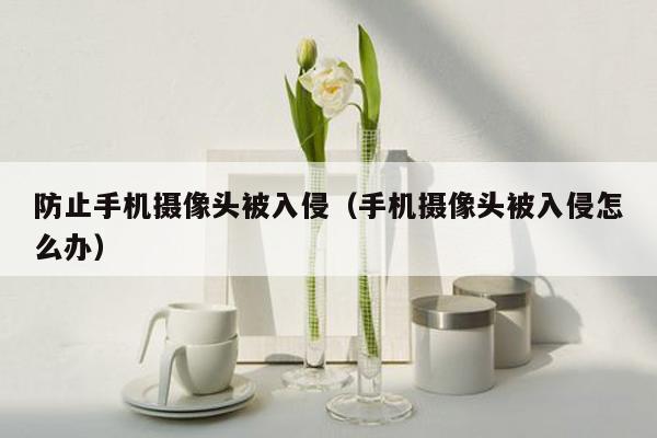 防止手机摄像头被入侵（手机摄像头被入侵怎么办）