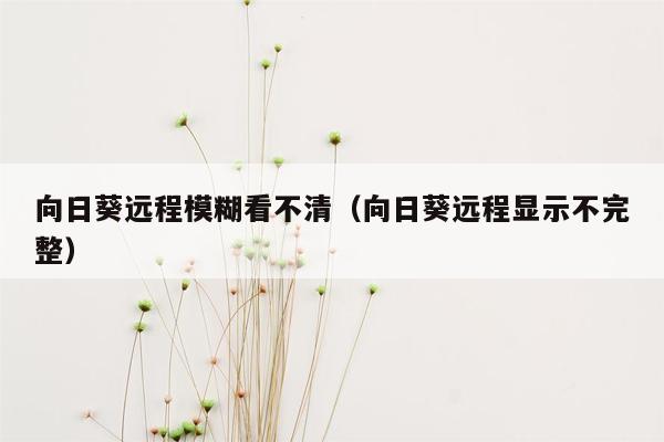 向日葵远程模糊看不清（向日葵远程显示不完整）