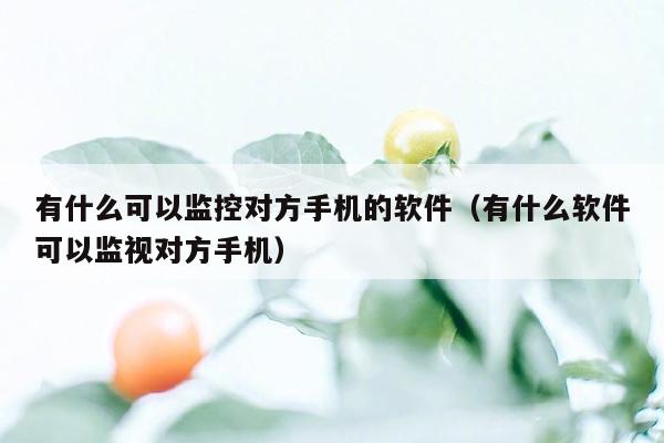 有什么可以监控对方手机的软件（有什么软件可以监视对方手机）