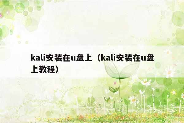 kali安装在u盘上（kali安装在u盘上教程）