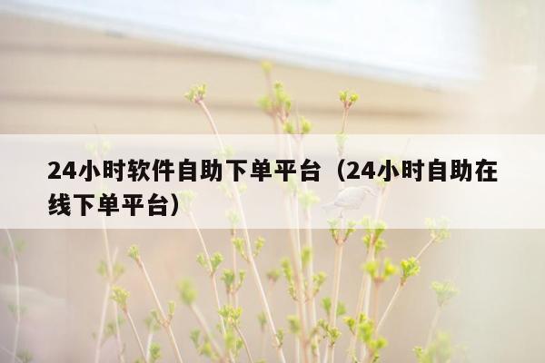 24小时软件自助下单平台（24小时自助在线下单平台）