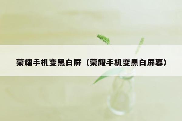 荣耀手机变黑白屏（荣耀手机变黑白屏幕）