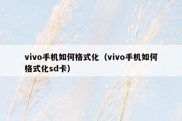 vivo手机如何格式化（vivo手机如何格式化sd卡）