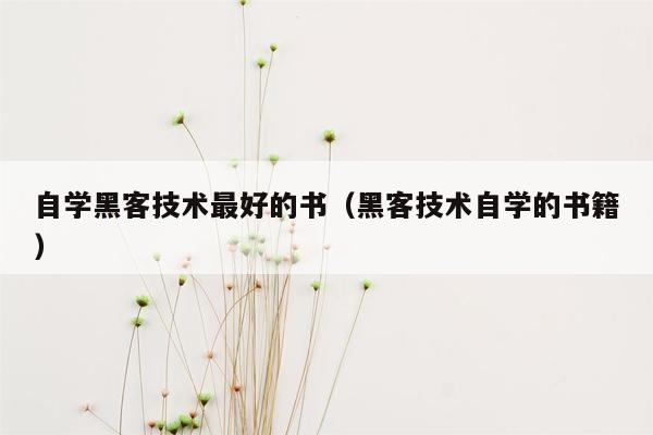 自学黑客技术最好的书（黑客技术自学的书籍）