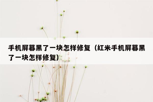 手机屏幕黑了一块怎样修复（红米手机屏幕黑了一块怎样修复）