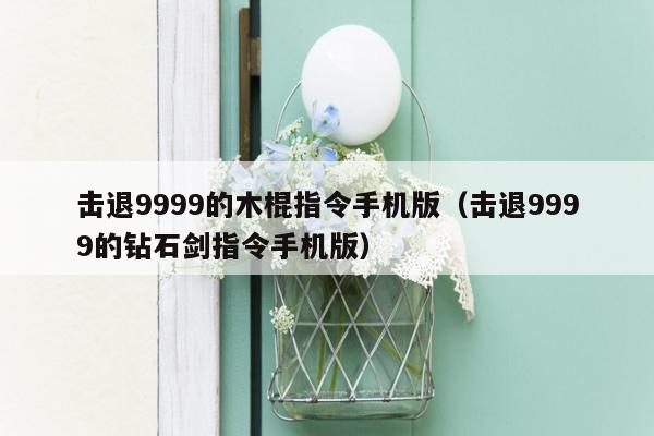 击退9999的木棍指令手机版（击退9999的钻石剑指令手机版）